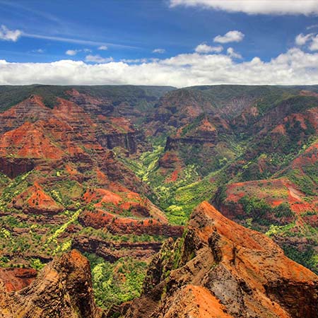 Photograph of a large canyon. The rock is predominantly a red-orange color, accented by dark and light green foliage throughout. There are two outcrops in the foreground that show the red-orange rock is varied with some brown and tan coloration. The horizon is flat, meeting a line of white clouds that give way to a bright blue sky.