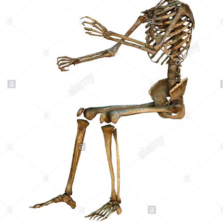 A 3D rendering of a human skeleton in a seated position (as if in a chair) with its hands reaching out in front. The skull is cropped out of the image.