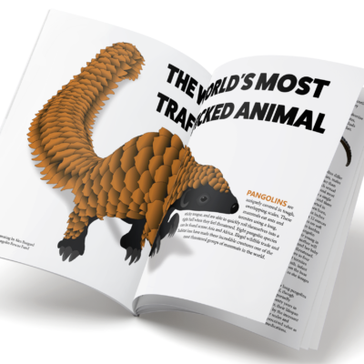 Pangolin Magazine Spread